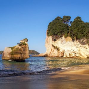 coromandel