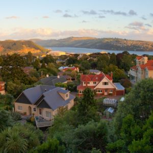 Dunedin & Catlins