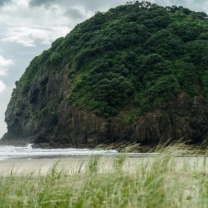 giant green cliff on seashore on cloudy day, Piha beach, New Zealand