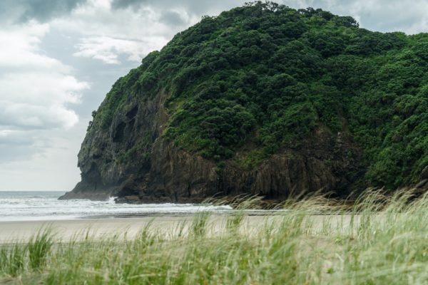 giant green cliff on seashore on cloudy day, Piha beach, New Zealand