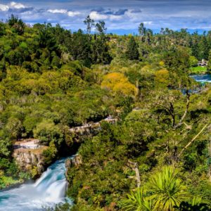 Waikato