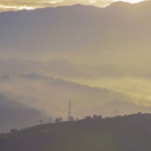 Misty Hills