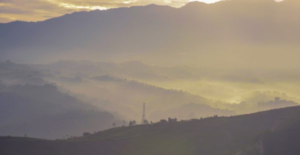 Misty Hills