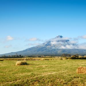 Other North Island