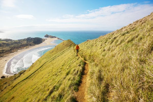 New Zealand coast