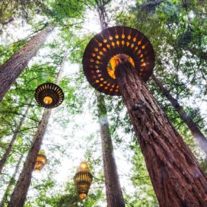 Park in New Zealand