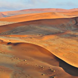 Patterns in the sand of the Namib