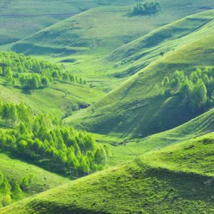 Picturesque rolling hills
