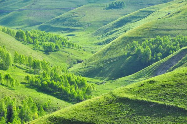 Picturesque rolling hills