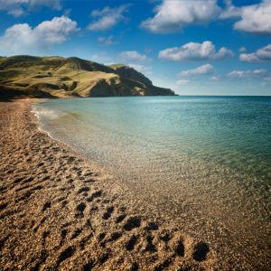 Seascape, Beach at dawn